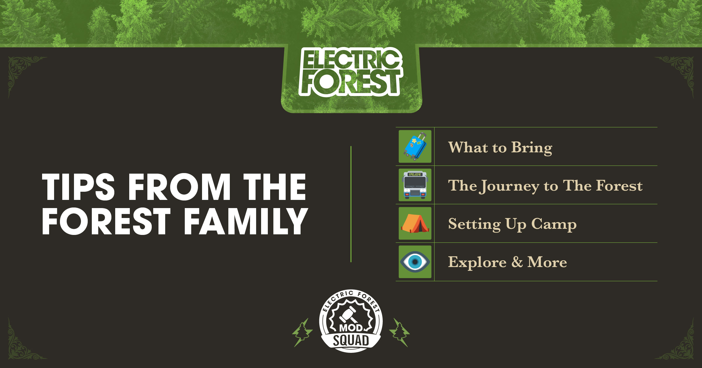 Tips from the forest family