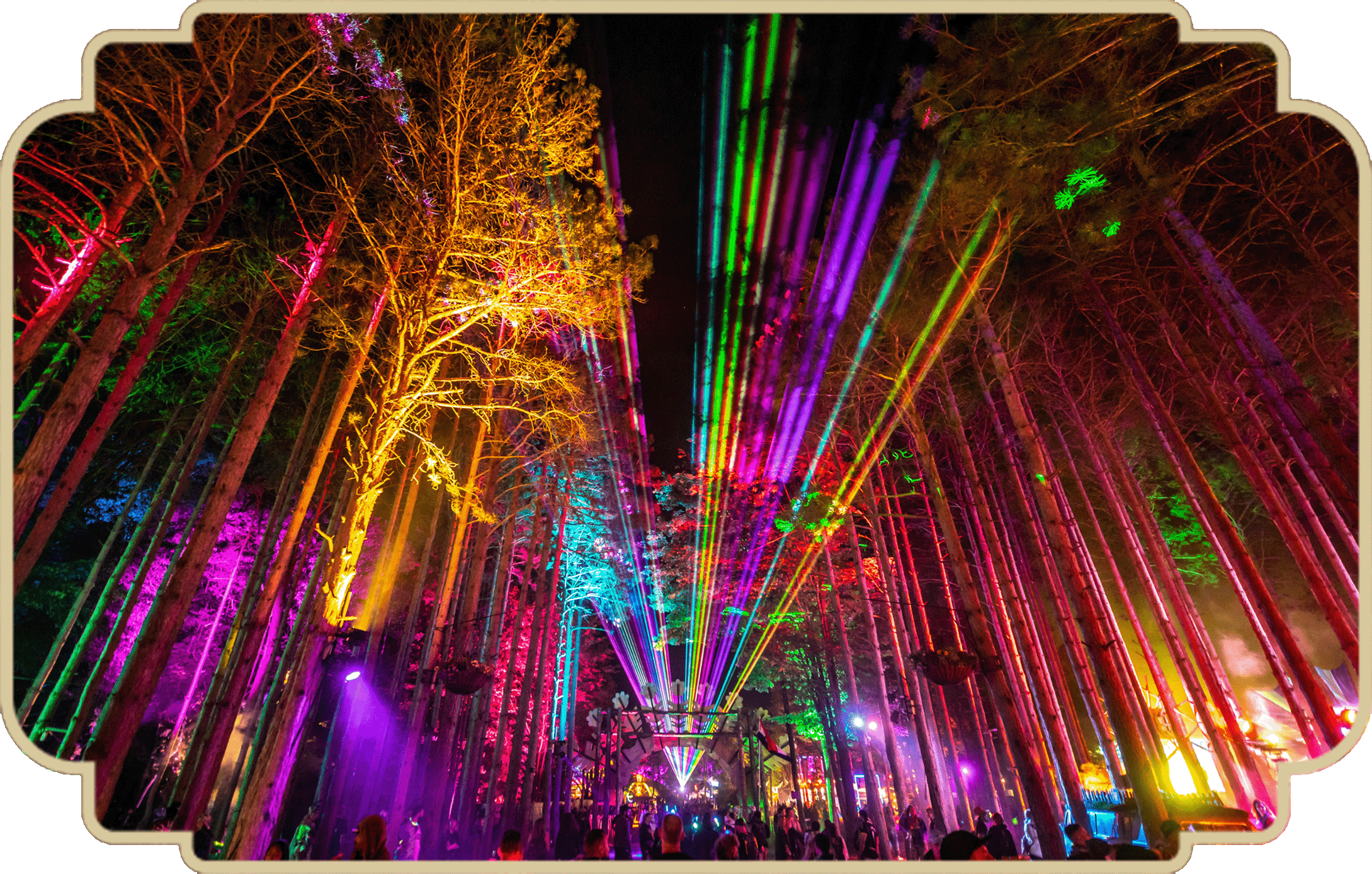 Electric Forest Rothbury, MI