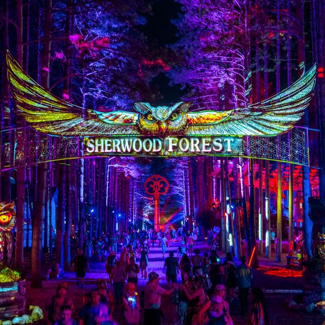 Sherwood Forest