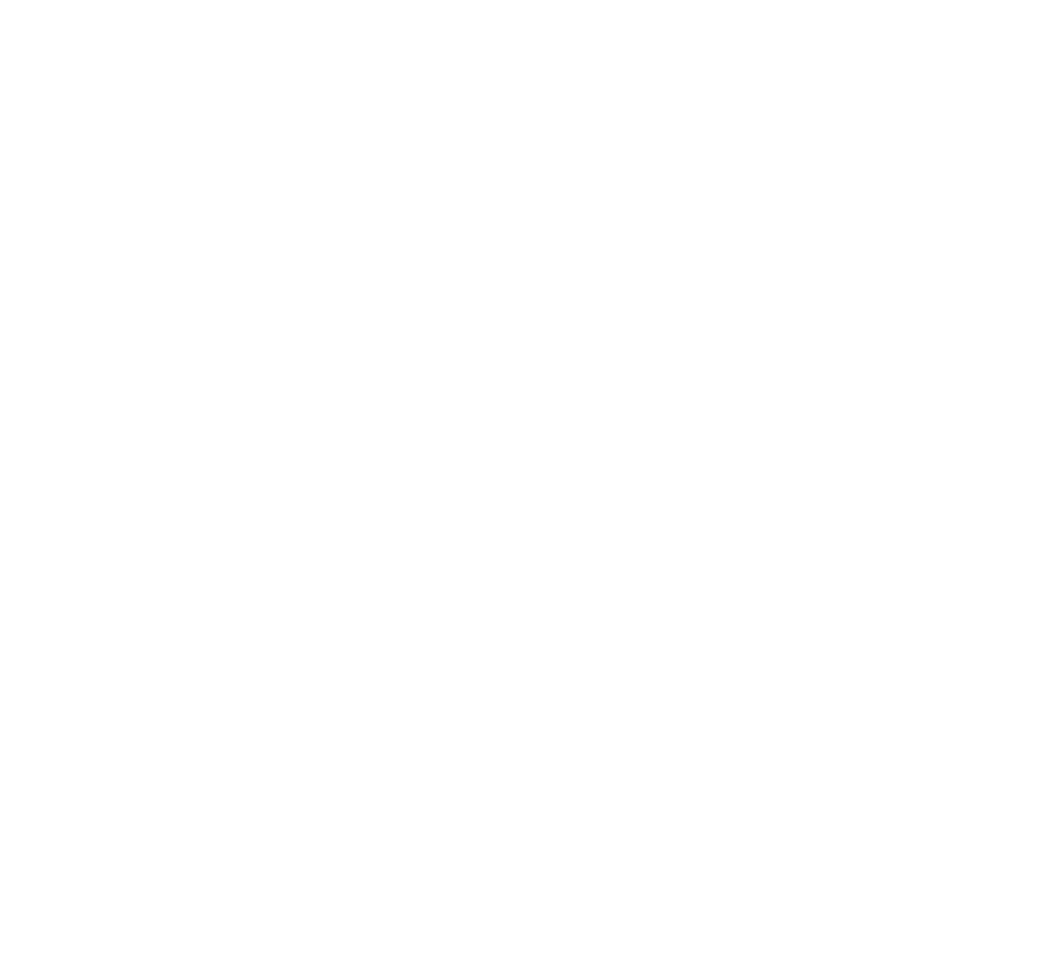 4 IN THE FOREST