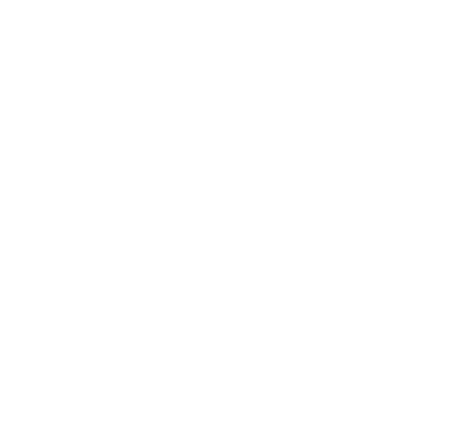 5 IN THE FOREST