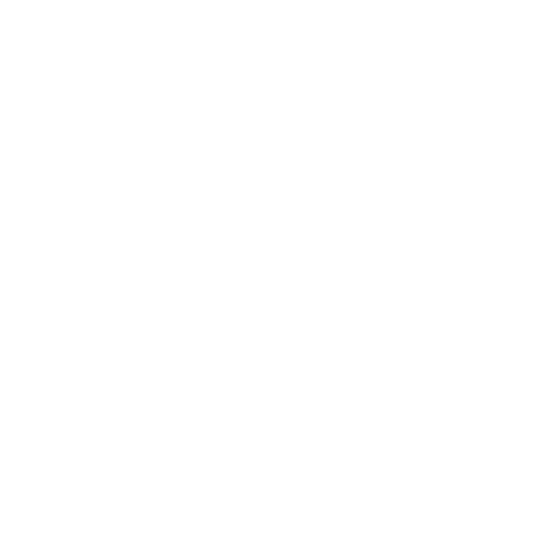 The Digital Brainery