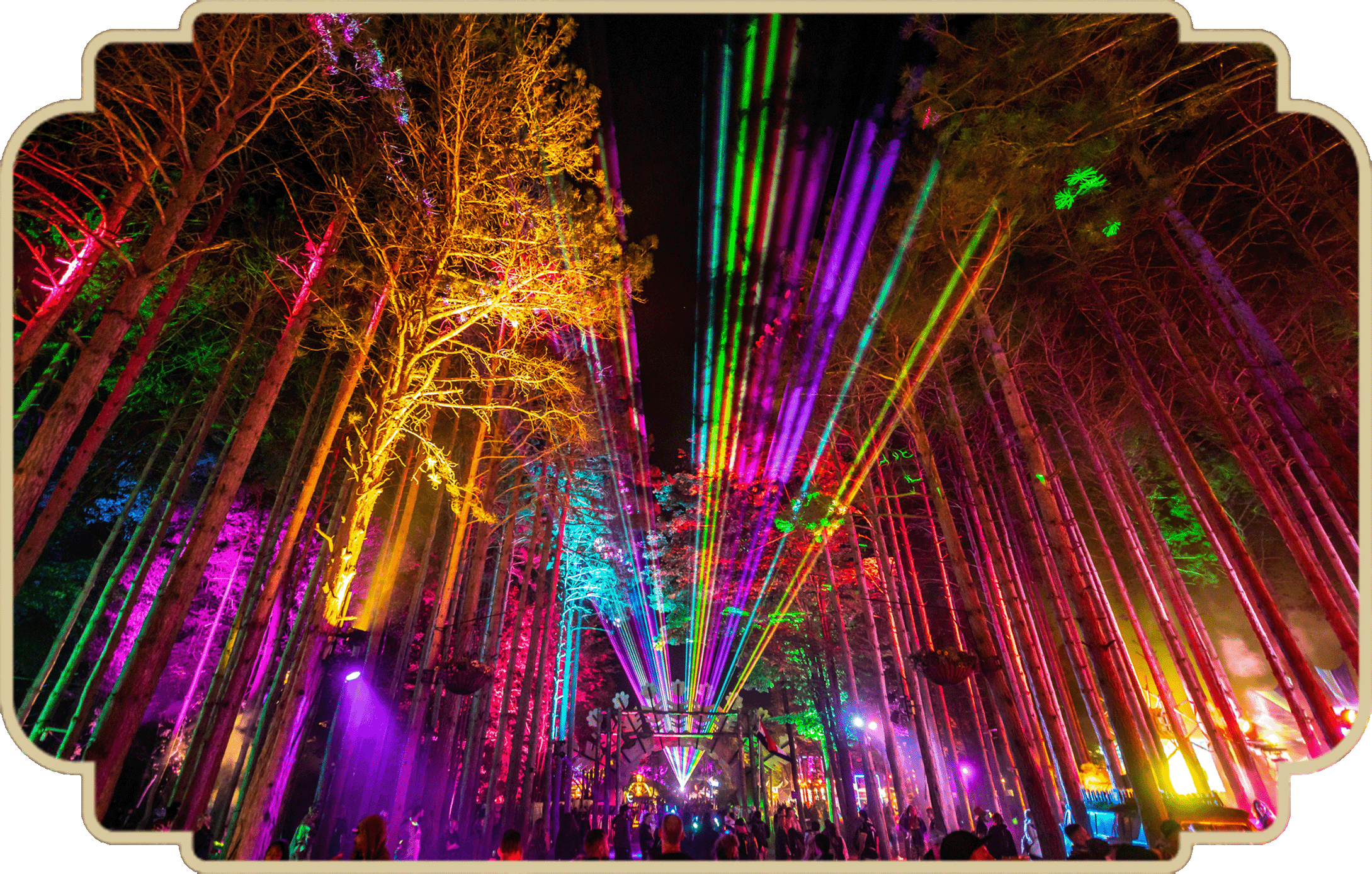 THE FINAL MUSIC, ART & FOREST FOOD LINEUPS FOR ELECTRIC FOREST 2023 ⚡