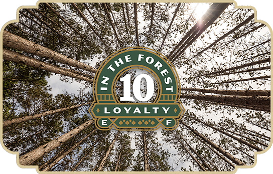 HONORING OUR 10 IN THE FOREST FAMILY 🌲