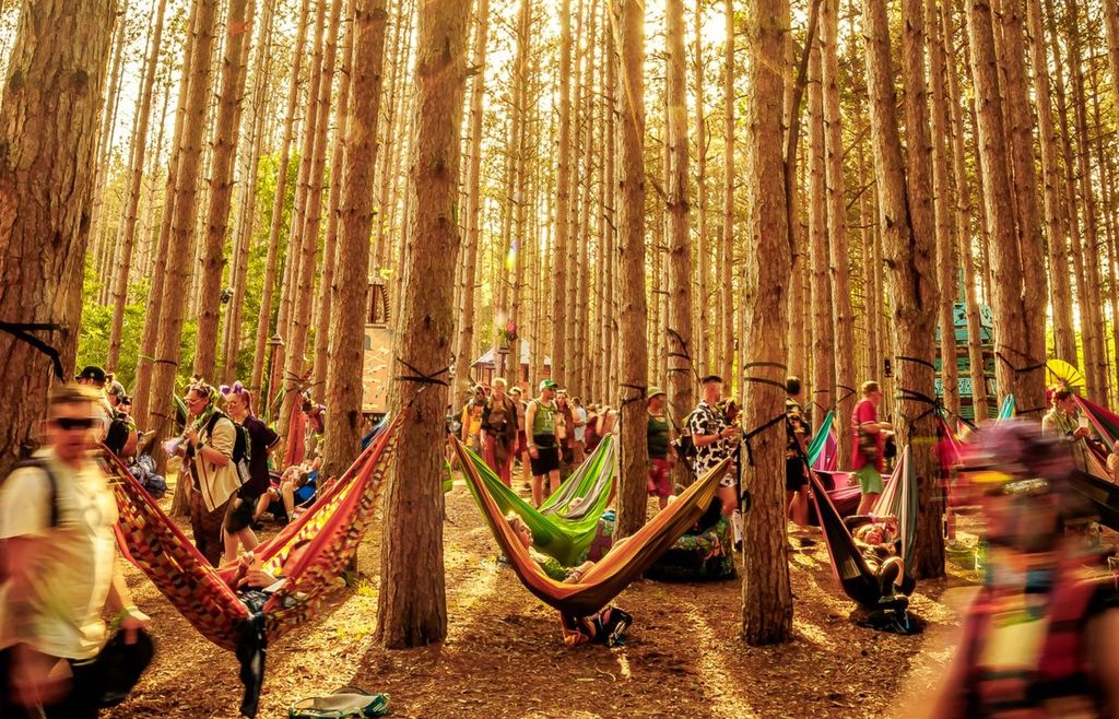 Hammocks in the forest